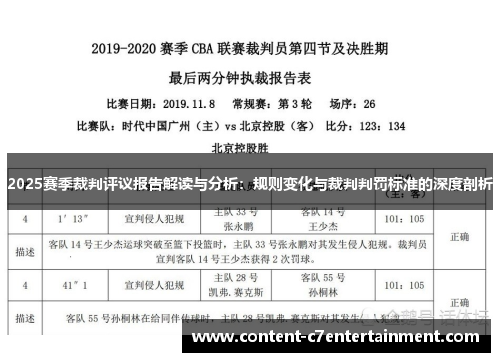 2025赛季裁判评议报告解读与分析：规则变化与裁判判罚标准的深度剖析