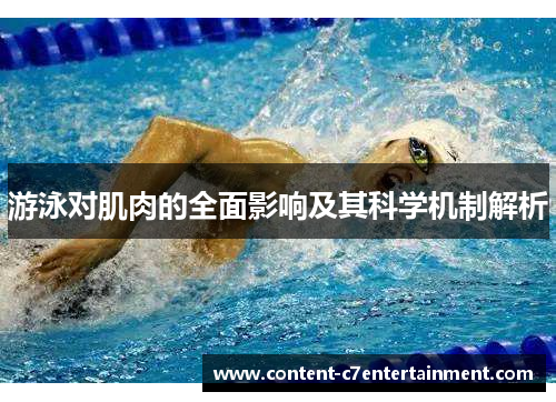 游泳对肌肉的全面影响及其科学机制解析