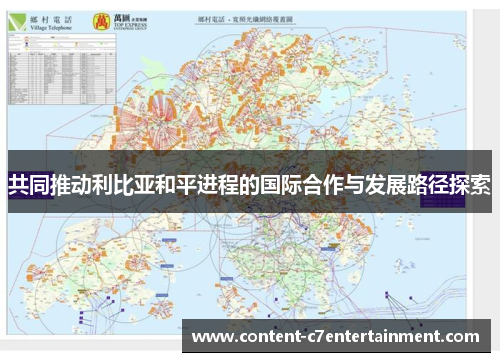 共同推动利比亚和平进程的国际合作与发展路径探索