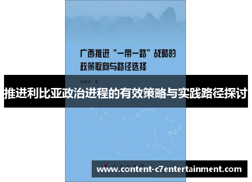 推进利比亚政治进程的有效策略与实践路径探讨