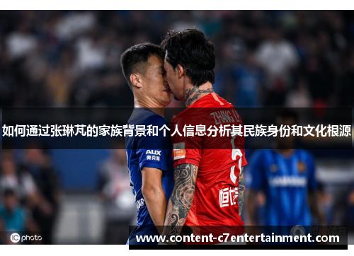 如何通过张琳芃的家族背景和个人信息分析其民族身份和文化根源