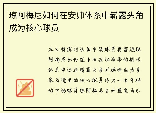 琼阿梅尼如何在安帅体系中崭露头角成为核心球员