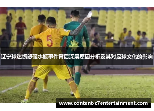 辽宁球迷愤怒砸水瓶事件背后深层原因分析及其对足球文化的影响