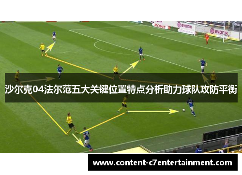 沙尔克04法尔范五大关键位置特点分析助力球队攻防平衡