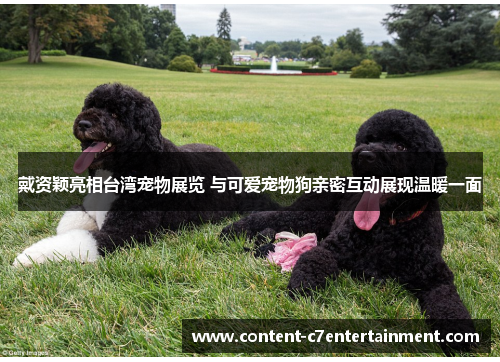 戴资颖亮相台湾宠物展览 与可爱宠物狗亲密互动展现温暖一面