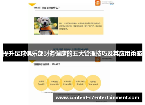 提升足球俱乐部财务健康的五大管理技巧及其应用策略